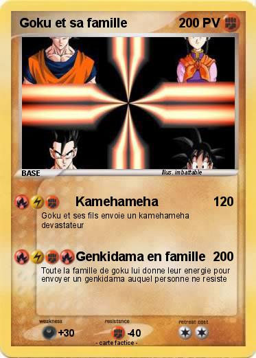 Pokemon Goku et sa famille