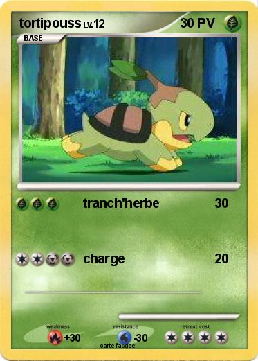 Pokemon tortipouss
