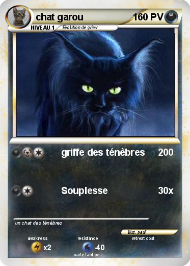 Pokemon chat garou