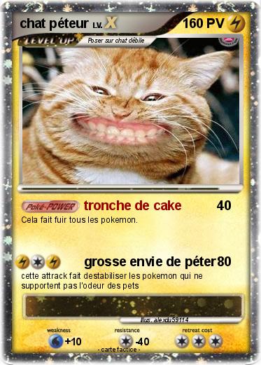 Pokemon chat péteur