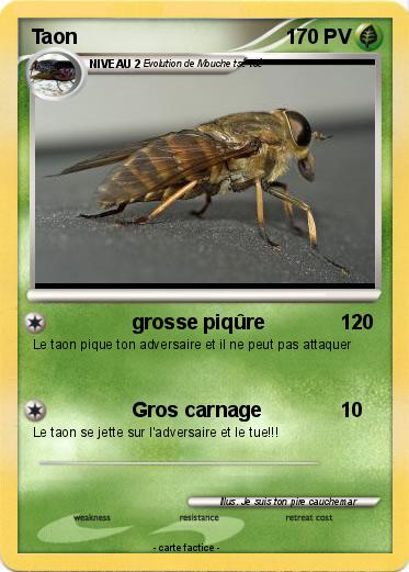 Pokemon Taon