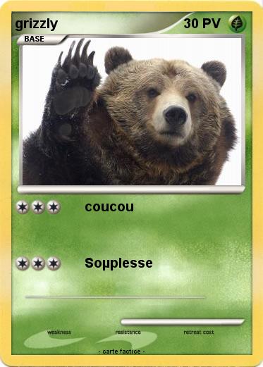 Pokemon grizzly