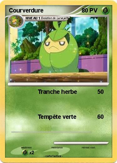 Pokemon Courverdure