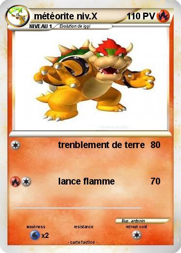 Pokemon météorite niv.X