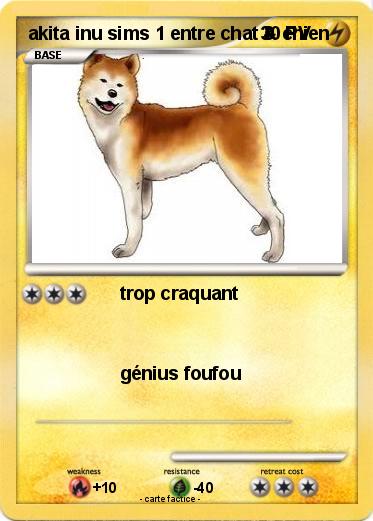 Pokemon akita inu sims 1 entre chat & chien
