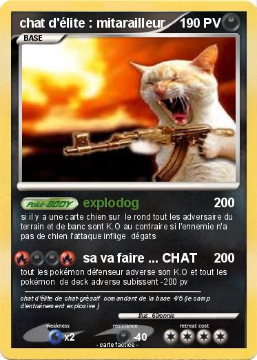 Pokemon chat d'élite : mitarailleur