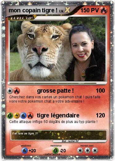 Pokemon mon copain tigre !