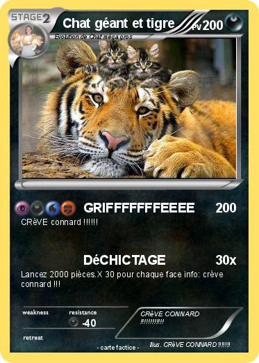 Pokemon Chat géant et tigre