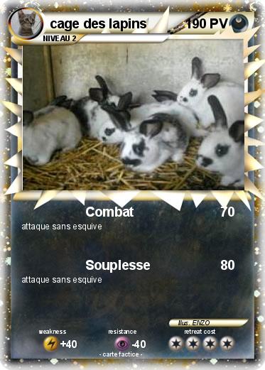 Pokemon cage des lapins