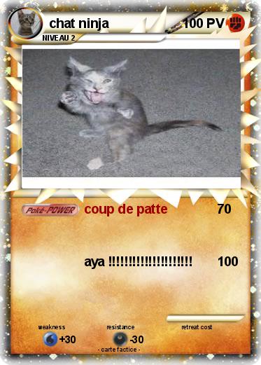 Pokemon chat ninja