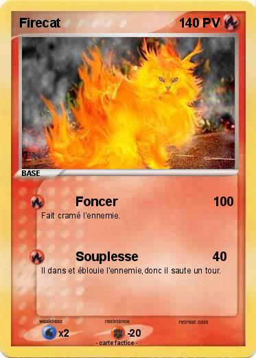 Pokemon Firecat