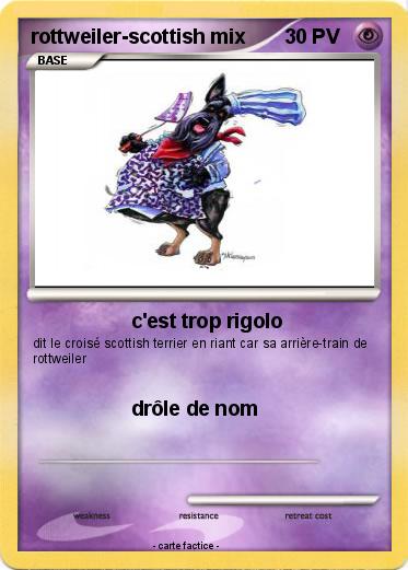 Pokemon rottweiler-scottish mix