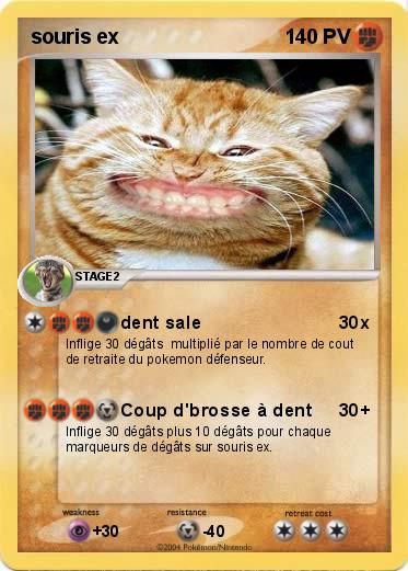 Pokemon souris ex