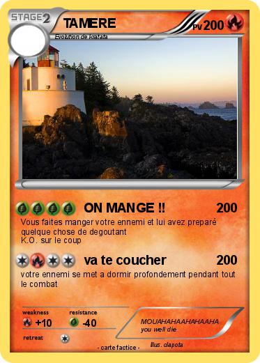 Pokemon TAMERE