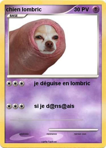 Pokemon chien lombric