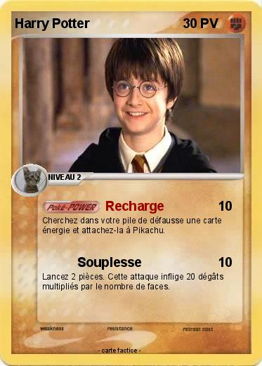Pokemon Harry Potter