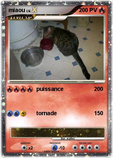 Pokemon miaou