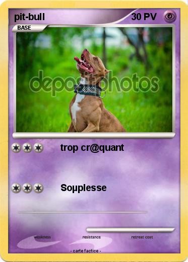 Pokemon pit-bull