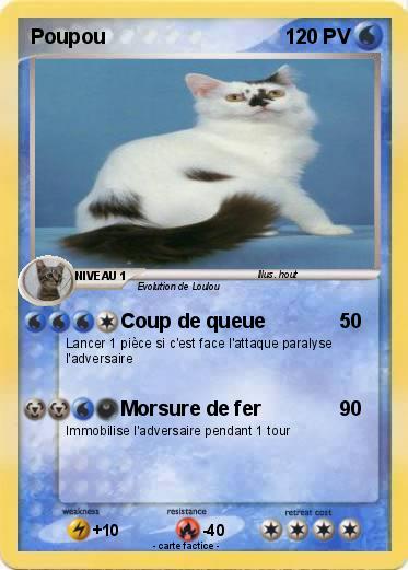 Pokemon Poupou