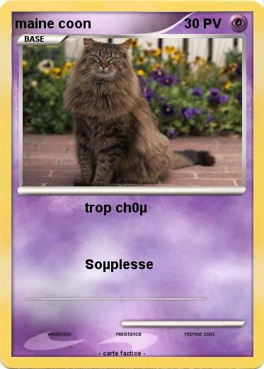 Pokemon maine coon
