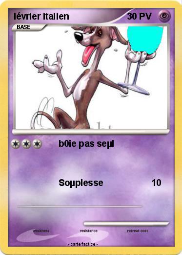 Pokemon lévrier italien