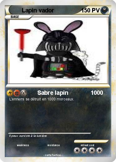 Pokemon Lapin vador
