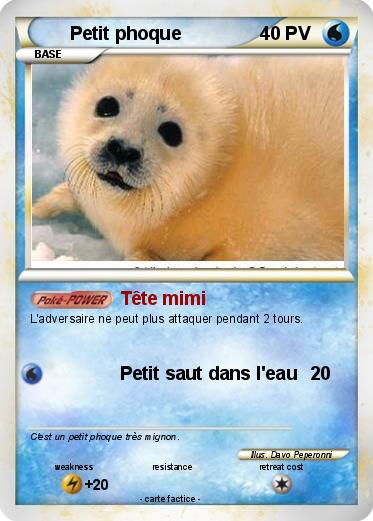 Pokemon Petit phoque