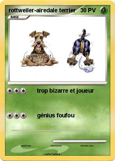 Pokemon rottweiler-airedale terrier
