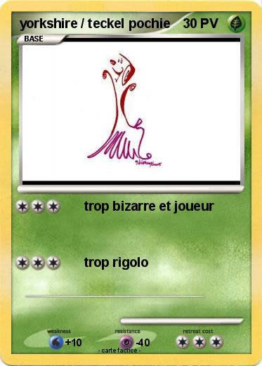 Pokemon yorkshire / teckel pochie