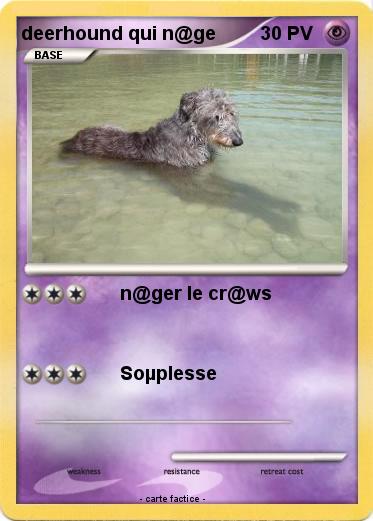 Pokemon deerhound qui n@ge