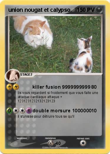 Pokemon union nougat et calypso