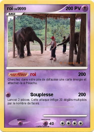 Pokemon roi