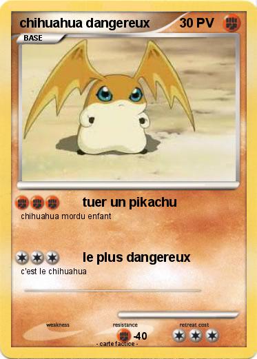 Pokemon chihuahua dangereux