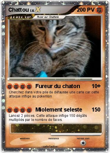 Pokemon Chattou