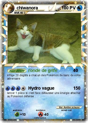 Pokemon chiwanora