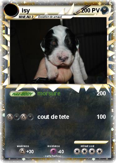 Pokemon isy