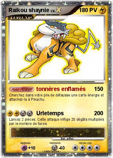 Pokemon Raikou shaynie