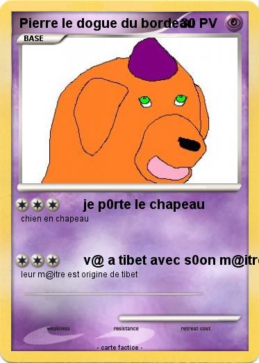 Pokemon Pierre le dogue du bordeau