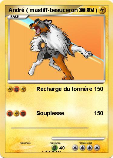 Pokemon André ( mastiff-beauceron mixte )