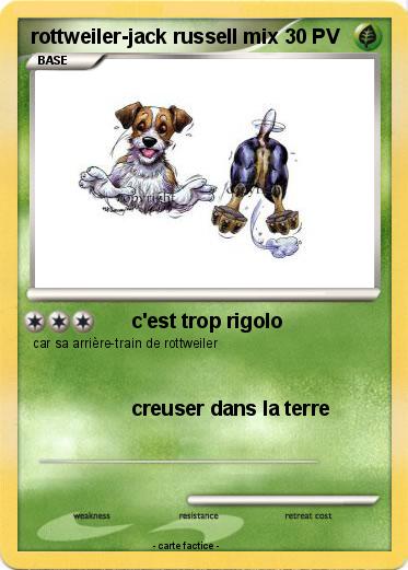 Pokemon rottweiler-jack russell mix