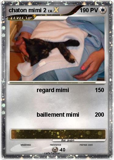 Pokemon chaton mimi 2