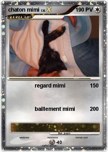 Pokemon chaton mimi