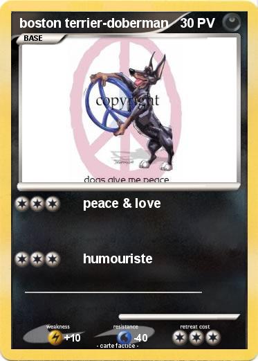 Pokemon boston terrier-doberman