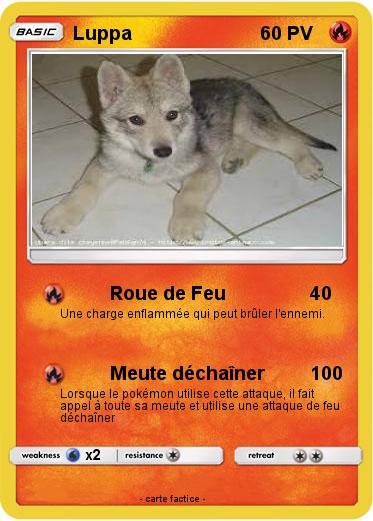 Pokemon Luppa