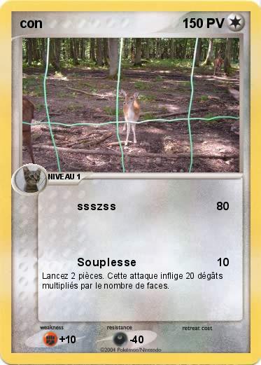 Pokemon con