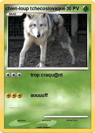 Pokemon chien-loup tchecoslovaque