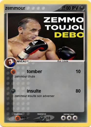 Pokemon zemmour