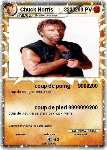 Pokemon Chuck Norris       3333