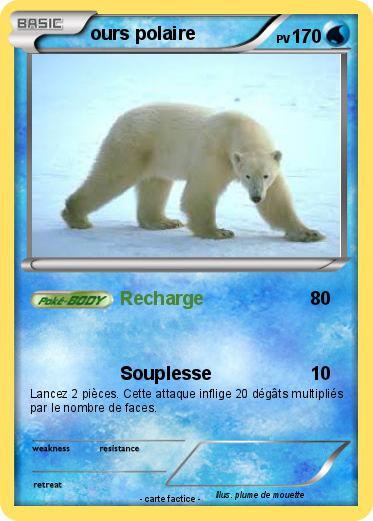 Pokemon ours polaire