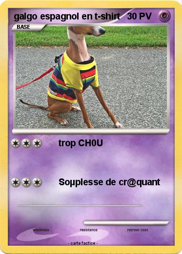 Pokemon galgo espagnol en t-shirt